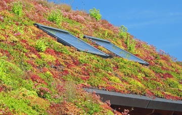 Sebergham living roof systems